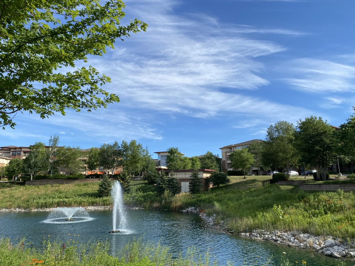 a fountain in a pond