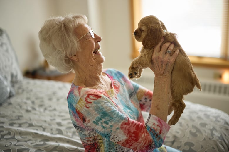 Senior woman holding and smiling with her new puppy